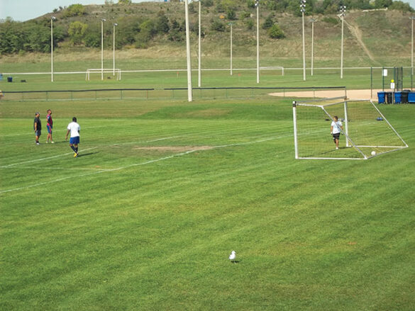 New seven-field sports complex opens for play in Cambridge, Ont.