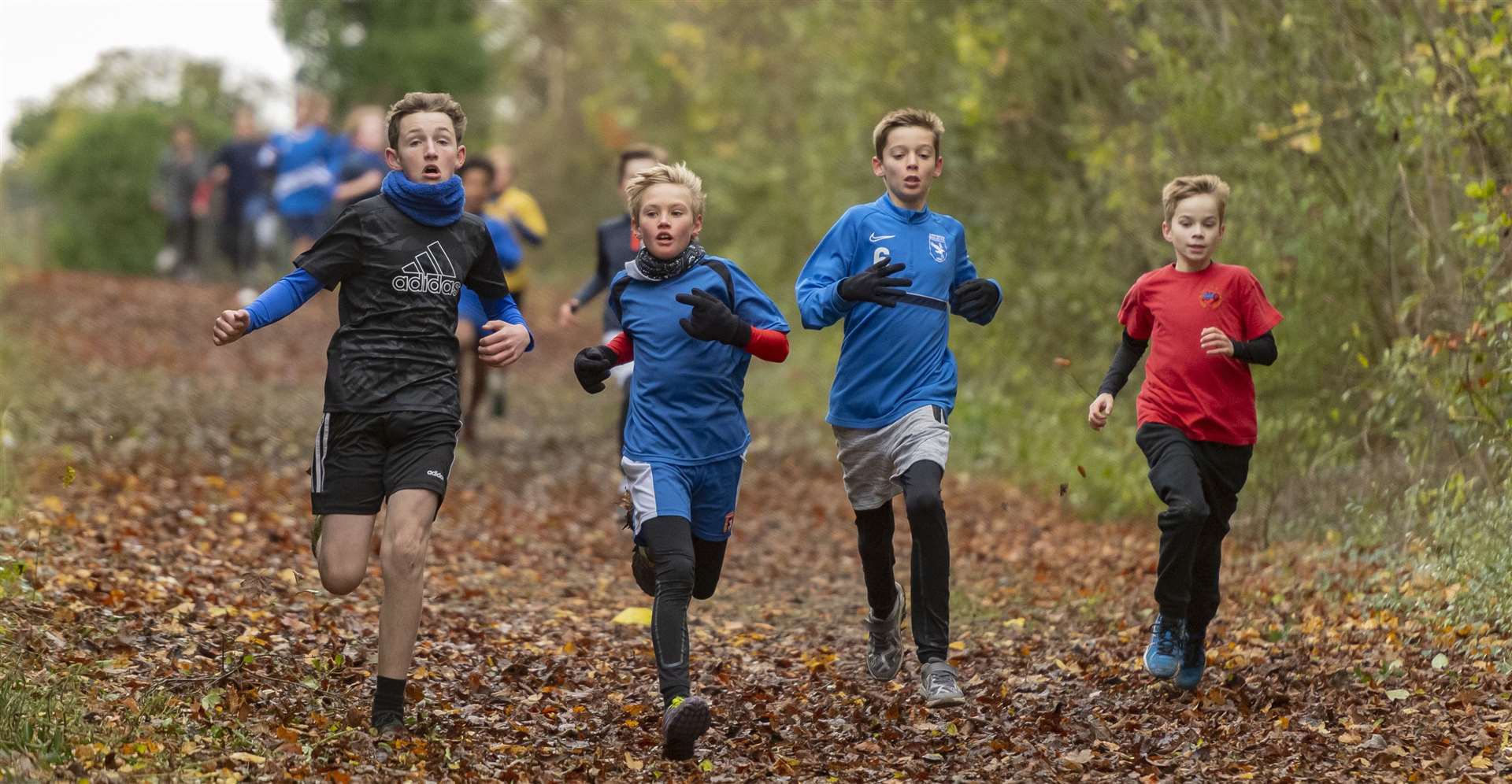 Cambridge School Sports Partnership cross country The Netherhall School . Picture: Keith Heppell. (53360782)