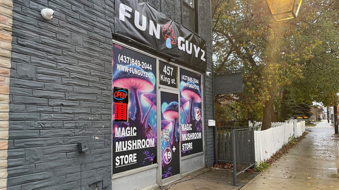 Magic mushroom dispensary making discreet return to Cambridge