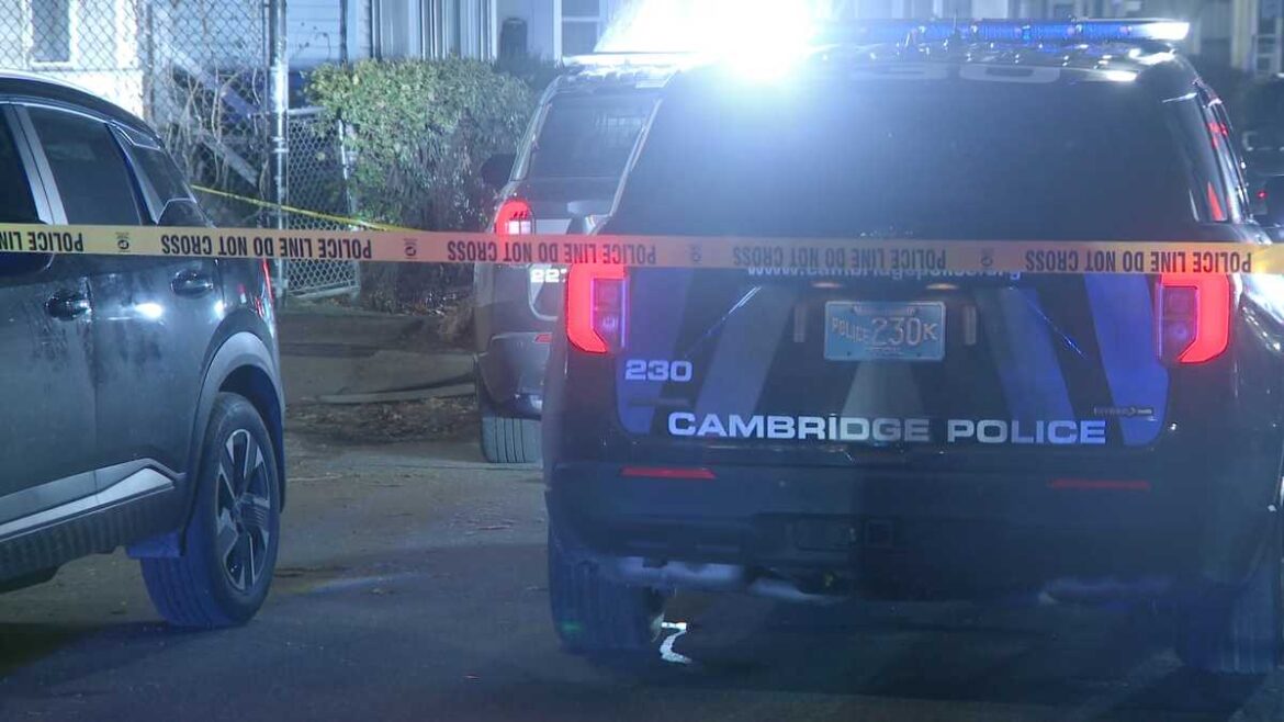 Neighbors stunned after two shot at Cambridge holiday gathering