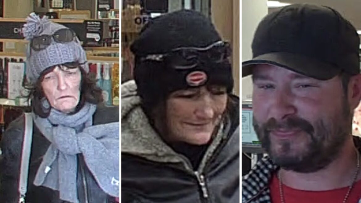Police seek serial shoplifters in Kitchener and Cambridge